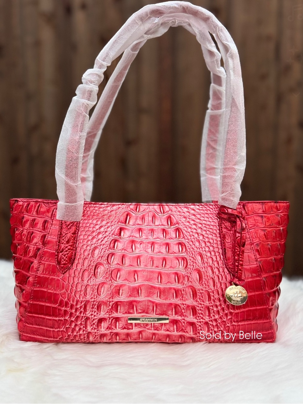 NWT Brahmin Tonya Embrace Ombre Melbourne Purse
